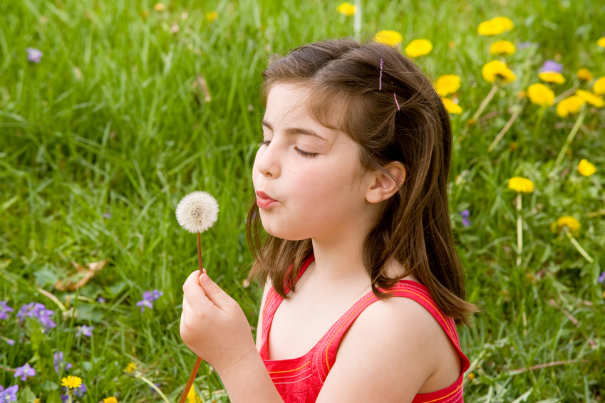 Little Girl Blowing Dandelion Seeds.