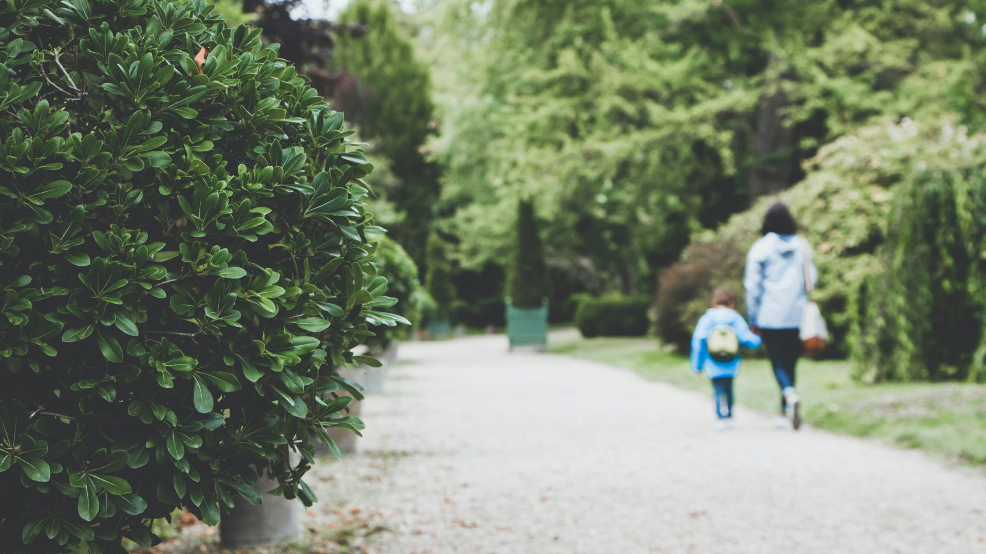 A child walking with an adult in a garden