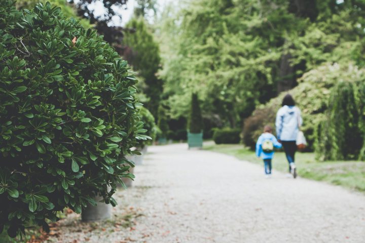 A child walking with an adult in a garden