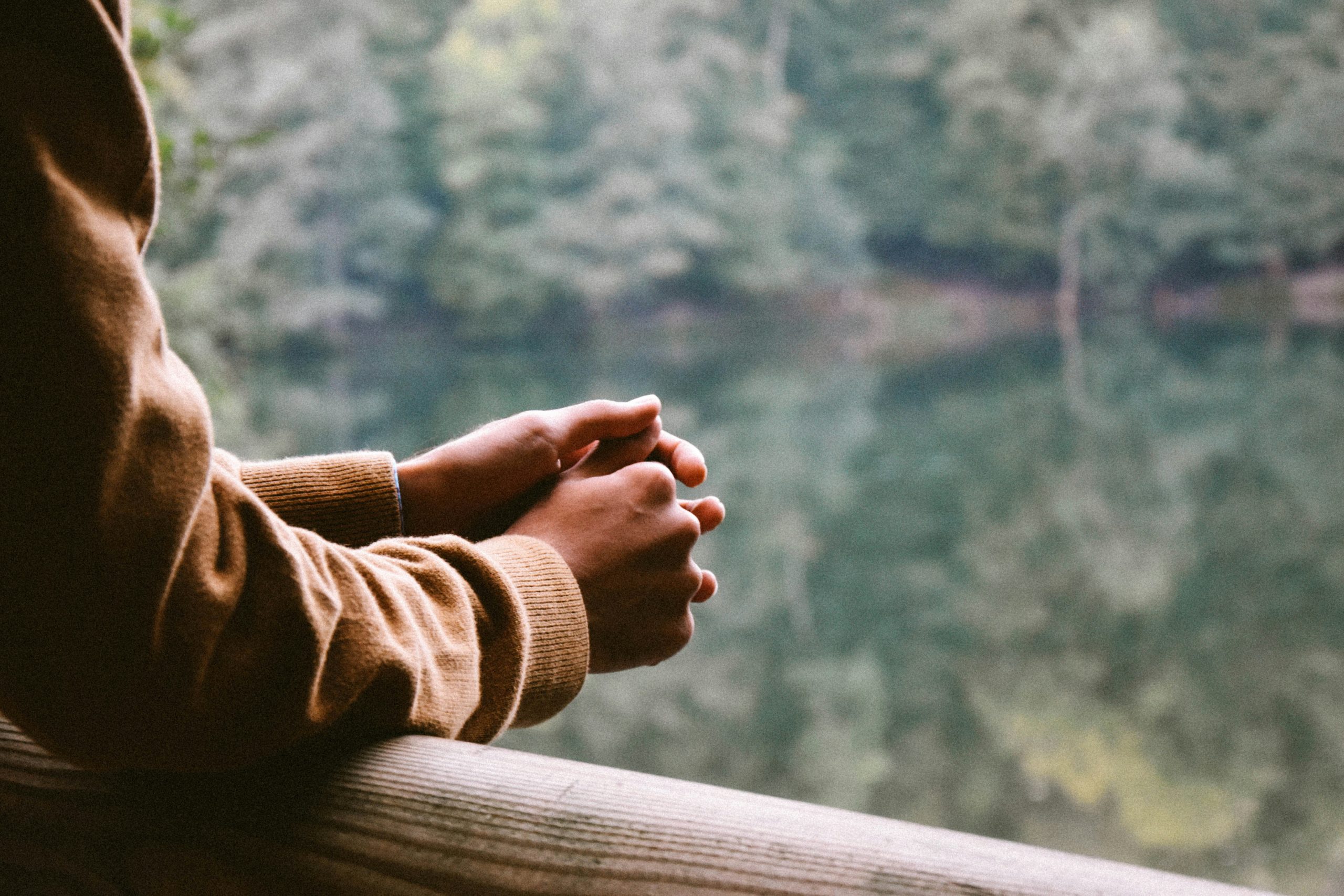 A person looking out over a lake and forested area